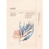 Ihonhoito Ondo Beauty 36.5 | [Ondo Beauty 36.5] Hyaluronic Acid & Algae Moisture Boosting Mask Chok-Chok